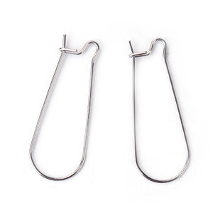 Stainless Steel Kindey Shaped Ear Wires - Pair