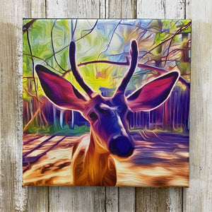 Pretty Boy Buck - 8x8 Inch Digital Art Canvas by Vivian Houser
