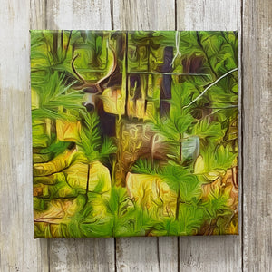 Big Stud Buck Deer - 8x8 Inch Digital Art Canvas by Chris Houser