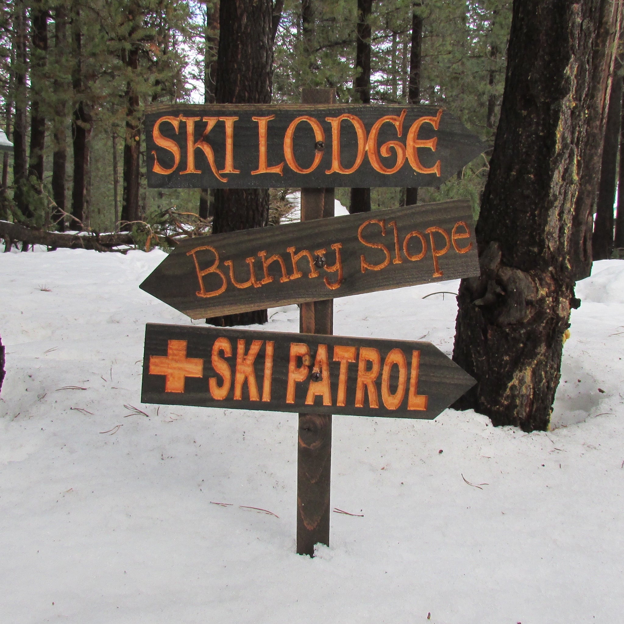 Ski Lodge Patrol Bunny Slope Directional Lawn Ornament Sign - Carved Cedar Wood