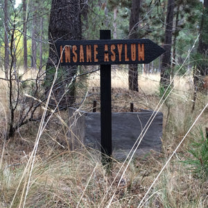 Insane Asylum Halloween Lawn Ornament Sign - Cedar Wood Holiday Decor